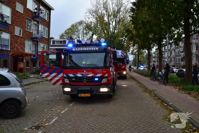 Oven in brand in flatwoning