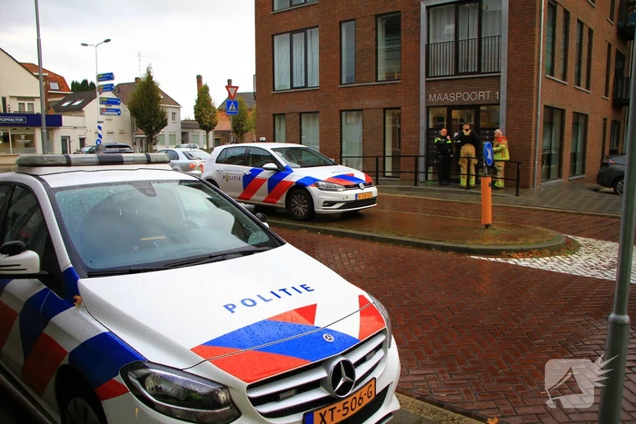 nieuws maaspoort weert