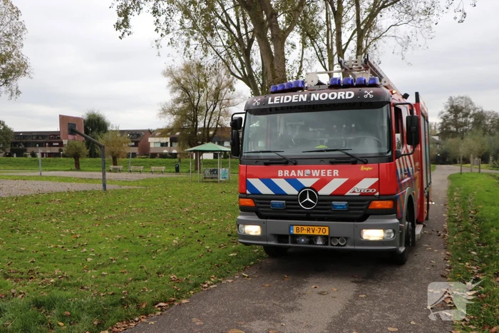 Brandweer haalt koe uit de sloot