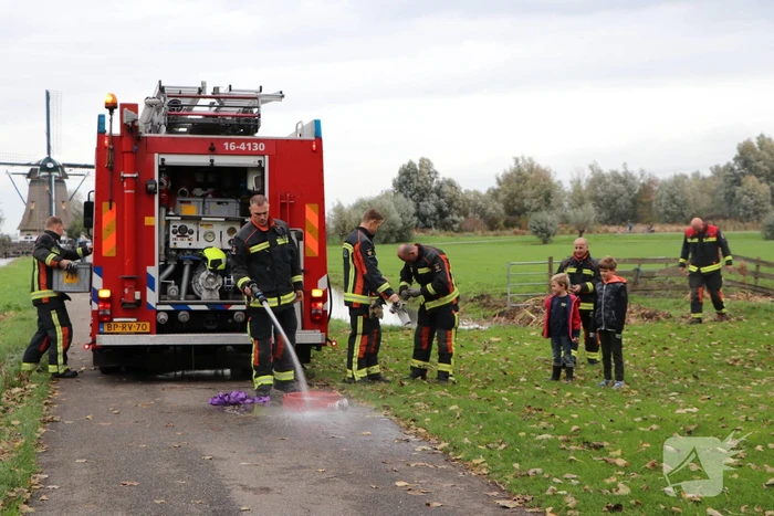 Brandweer haalt koe uit de sloot
