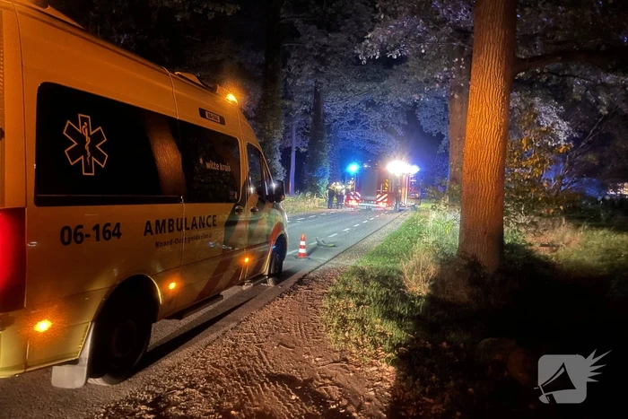 Bestuurder botst frontaal op boom