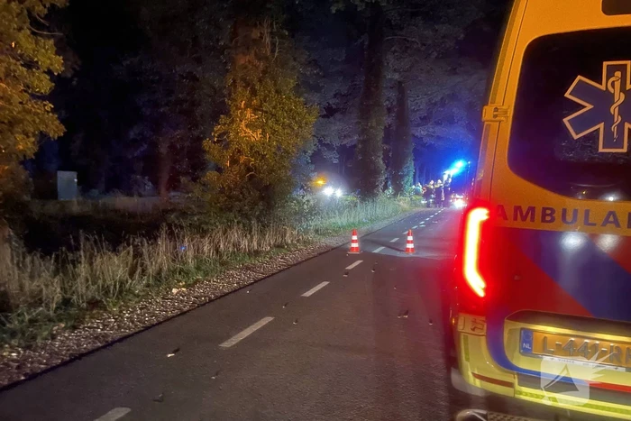 Bestuurder botst frontaal op boom