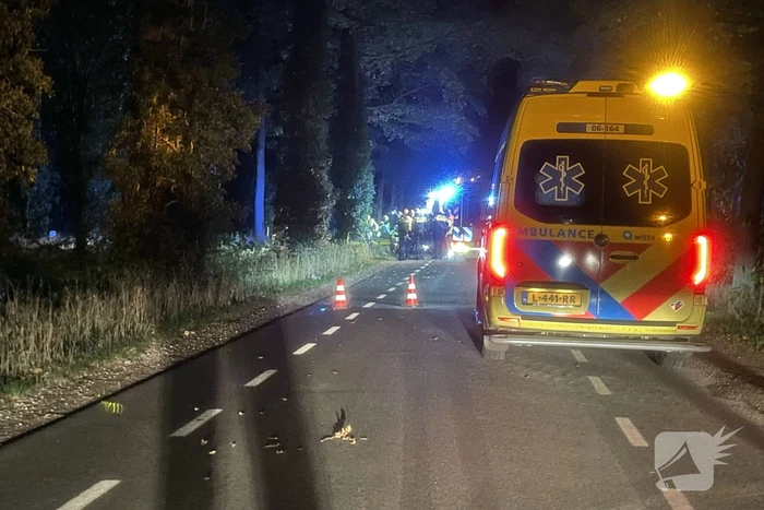 Bestuurder botst frontaal op boom