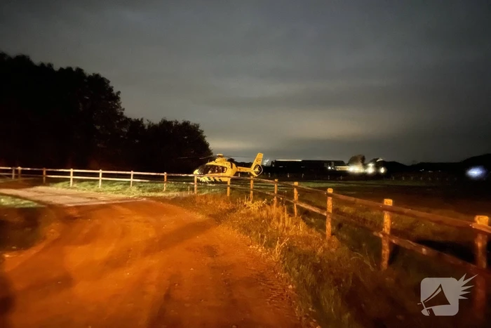 Bestuurder botst frontaal op boom