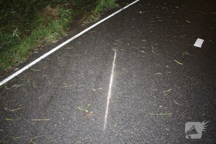 Gewonde en zware beschadiging na rammen boom