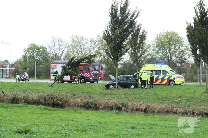 Automobilist ramt bushokje en boom