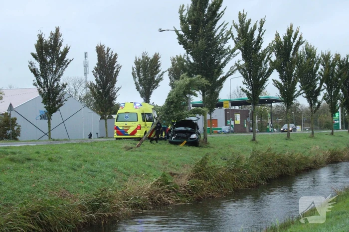 Automobilist ramt bushokje en boom