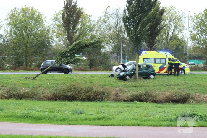 Automobilist ramt bushokje en boom
