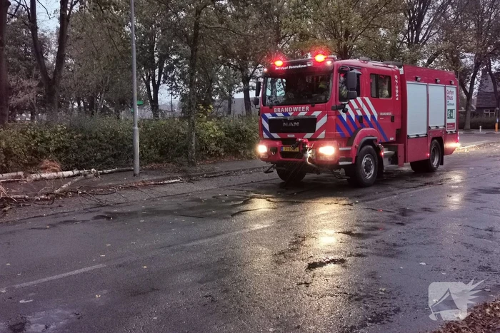 natuur halderweg bennekom