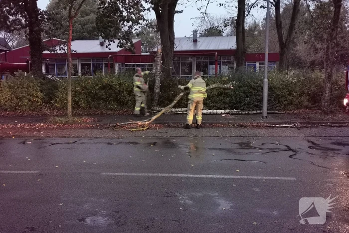 Stormschade zorgt voor takken op rijbaan
