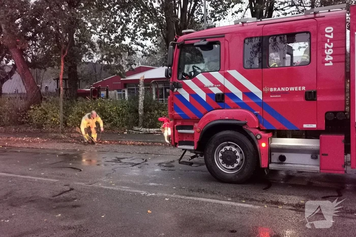 Stormschade zorgt voor takken op rijbaan