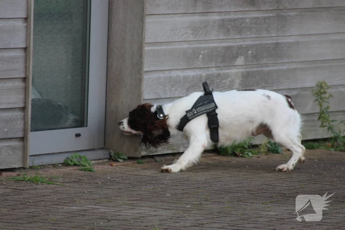 Preventieve drugscontrole bij loodsen op industrieterrein