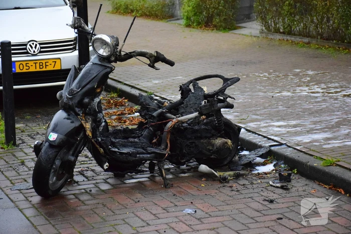Scooter total-loss door brand
