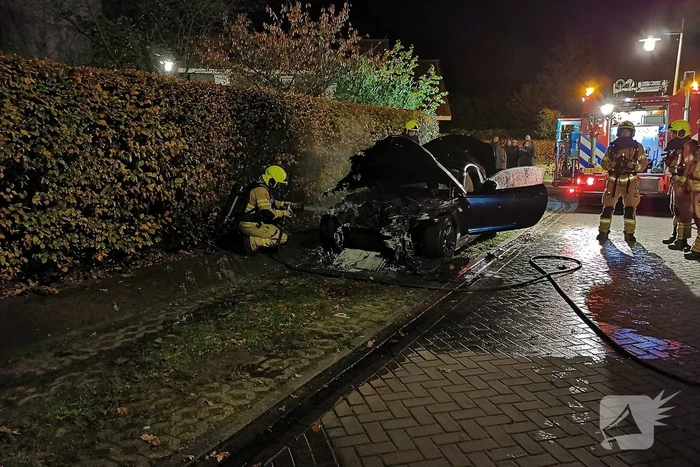 brand distelberg ede