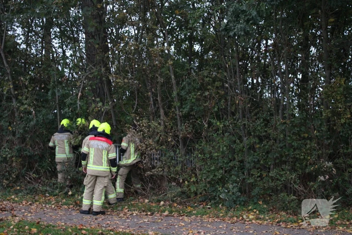 Kat na twee dagen uit boom gehaald