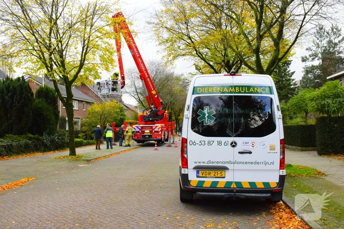 nieuws beatrixlaan ede