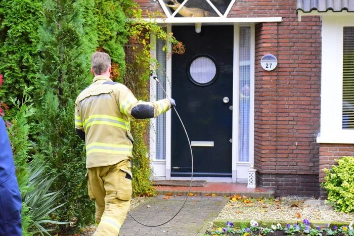 Vastzittende kauw uit schoorsteen gehaald