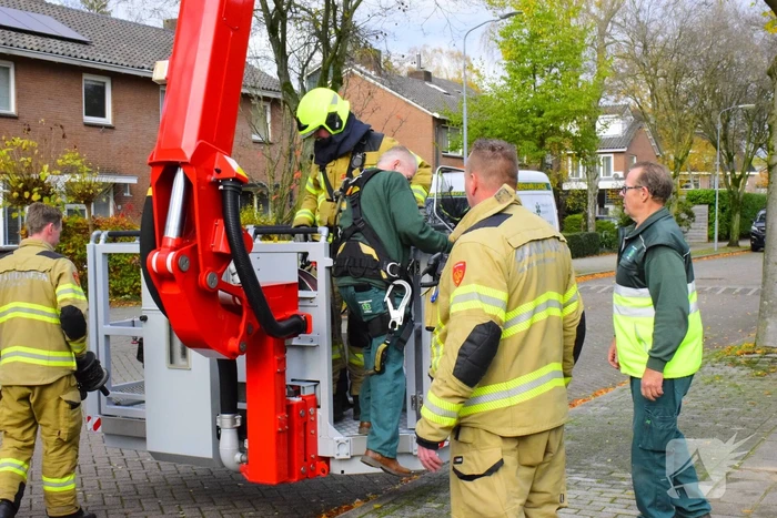 Vastzittende kauw uit schoorsteen gehaald