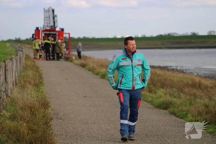 Mensen en hond vast op zandplaat