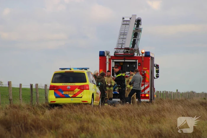 Mensen en hond vast op zandplaat