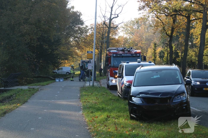 Voertuig beschadigd door omgevallen boom