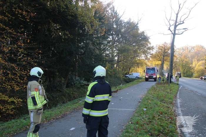 Voertuig beschadigd door omgevallen boom