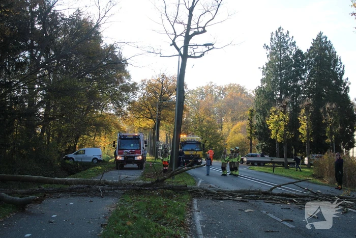natuur geeresteinselaan - n226 woudenberg