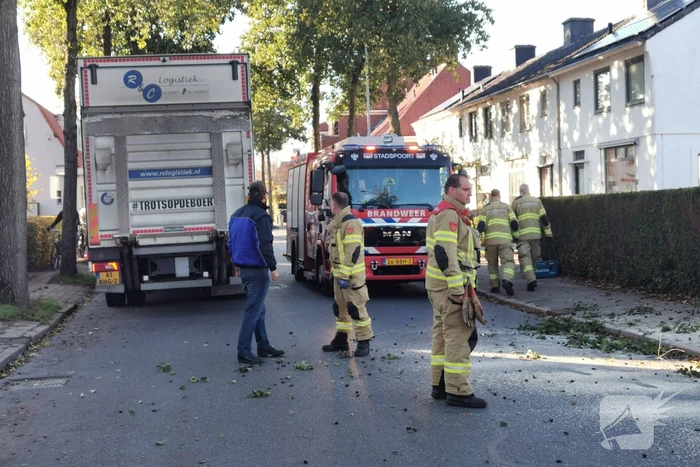 natuur verlengde parkweg ede
