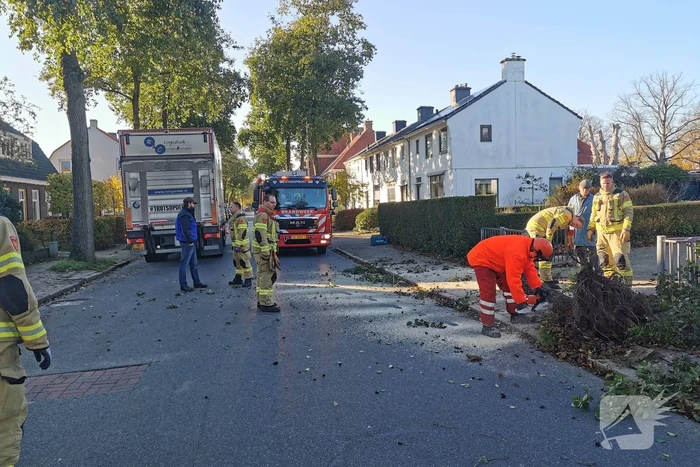Vrachtwagen ramt boom bij uitwijkmanoeuvre