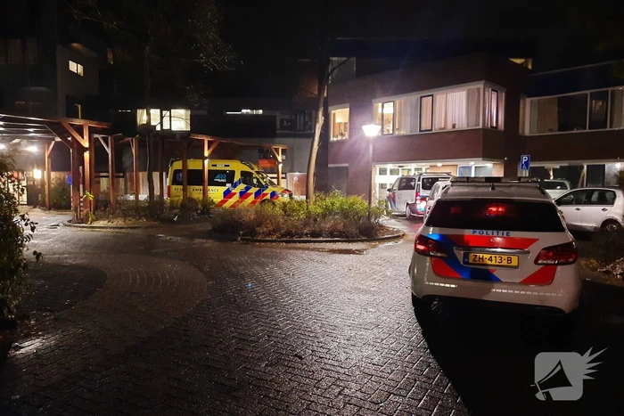 steekincident kruisnetlaan hoogvliet rotterdam