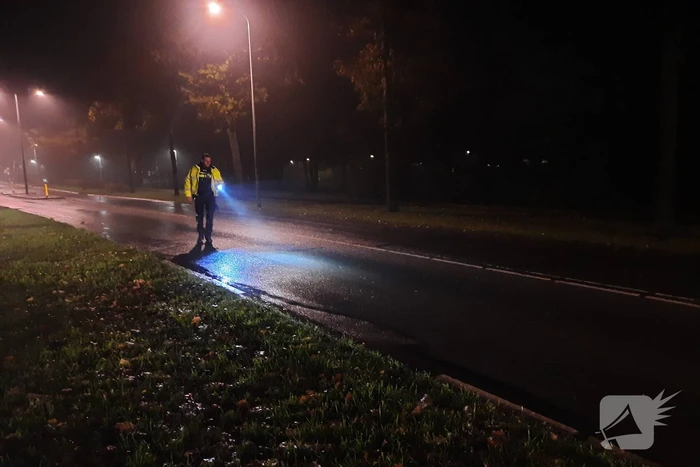 Auto raakt van de weg en belandt in sloot