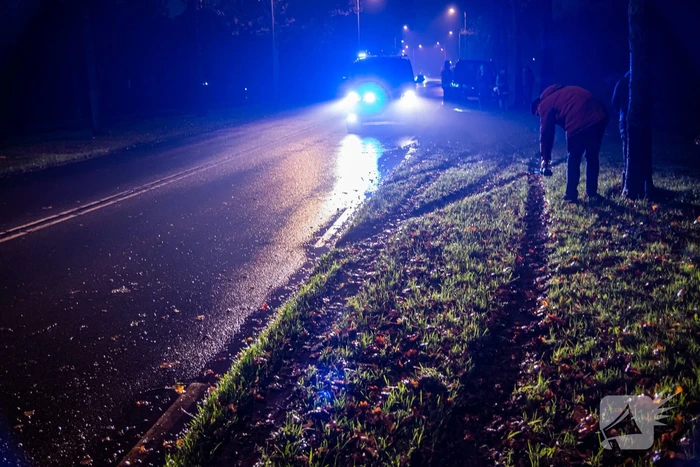 Auto raakt van de weg en belandt in sloot