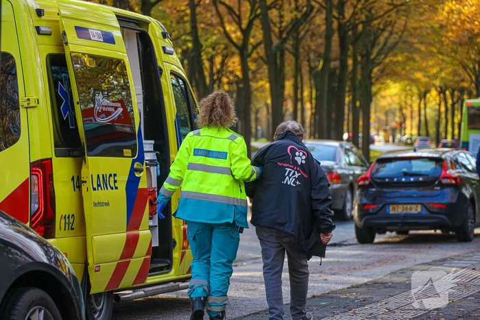 Automobilist botst tegen boom
