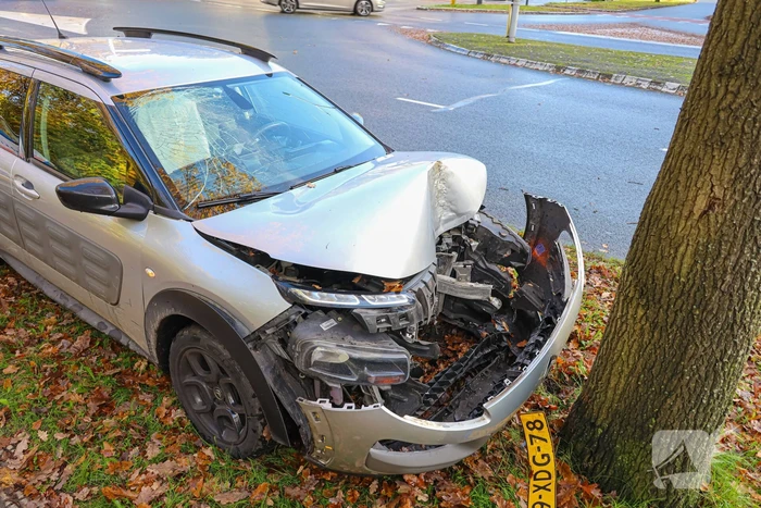Automobilist botst tegen boom