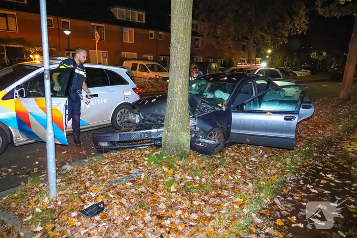 Automobilist eindigt tegen boom