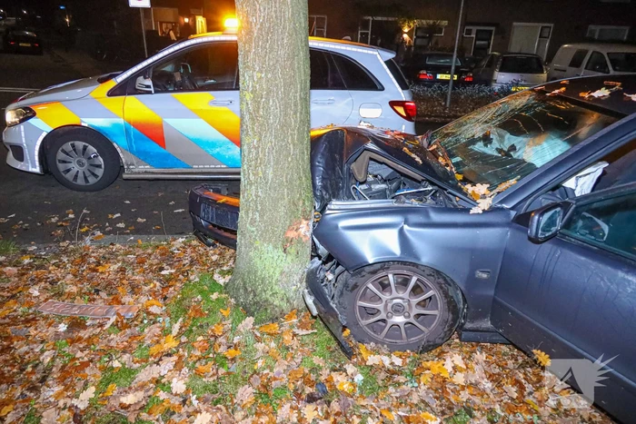 Automobilist eindigt tegen boom