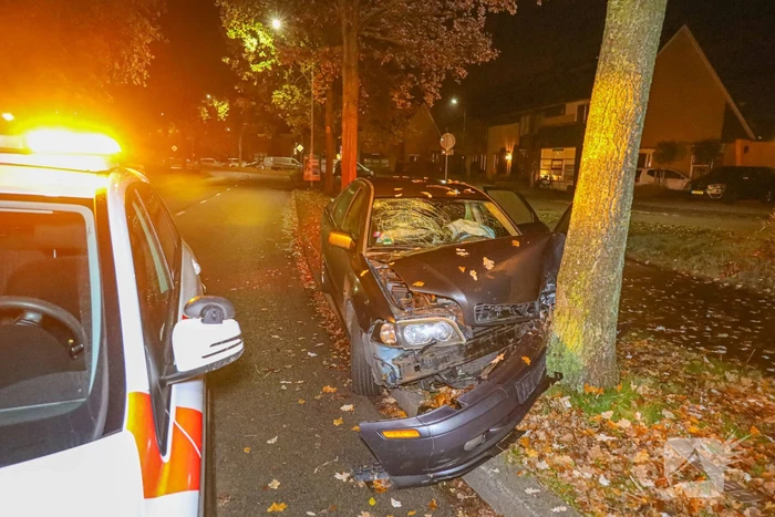 Automobilist eindigt tegen boom