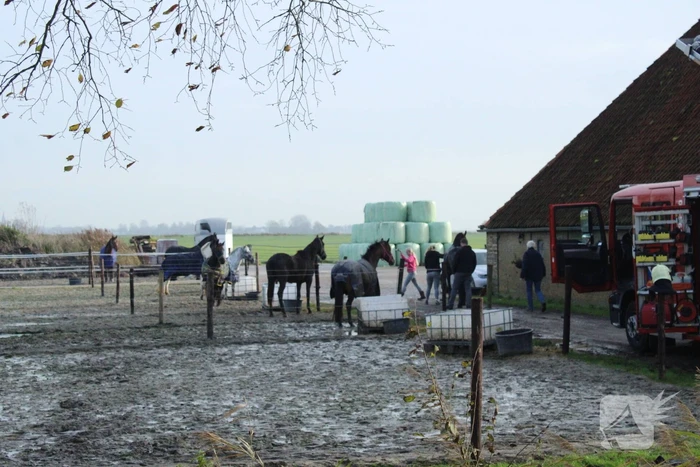 nieuws ysgumerweg dedgum