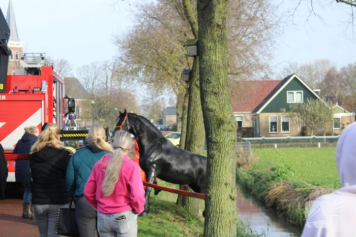 Paard uit sloot gered door brandweer