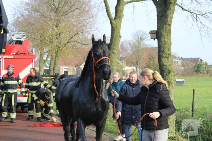 Paard uit sloot gered door brandweer