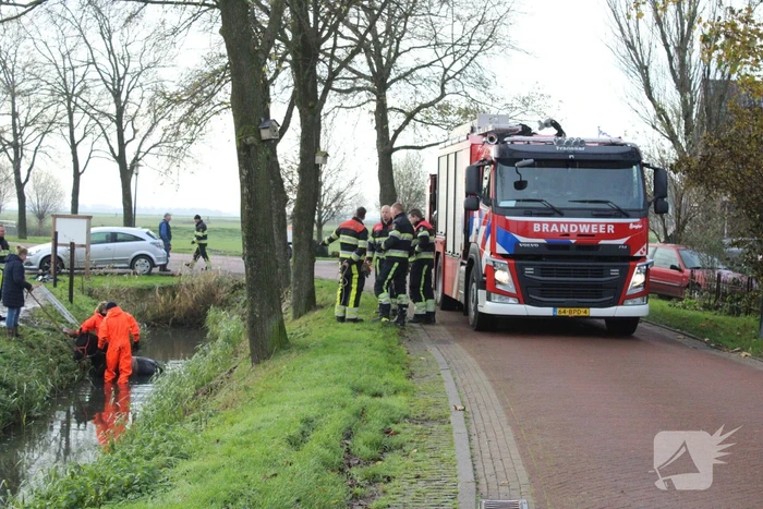 Paard uit sloot gered door brandweer