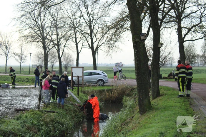 Paard uit sloot gered door brandweer