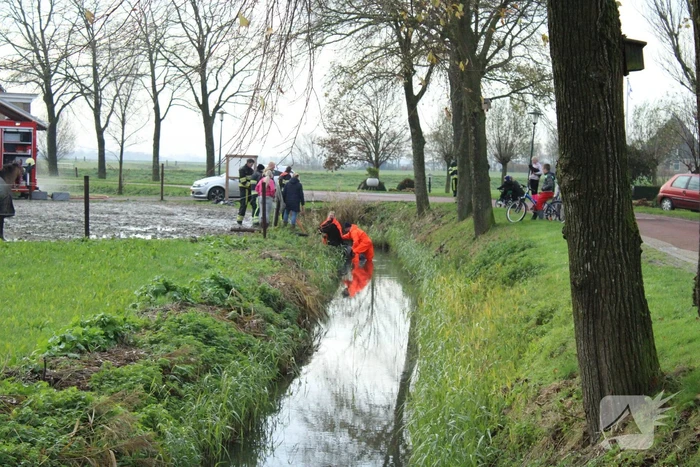 Paard uit sloot gered door brandweer