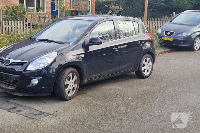 Automobilist schrikt en rijdt tuin in