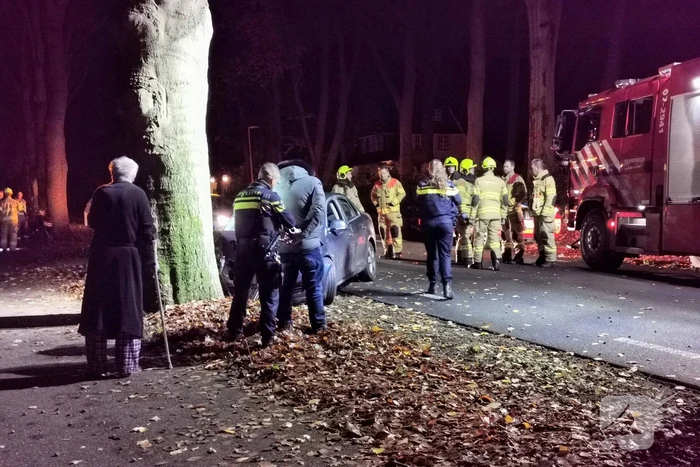 Auto in botsing met boom
