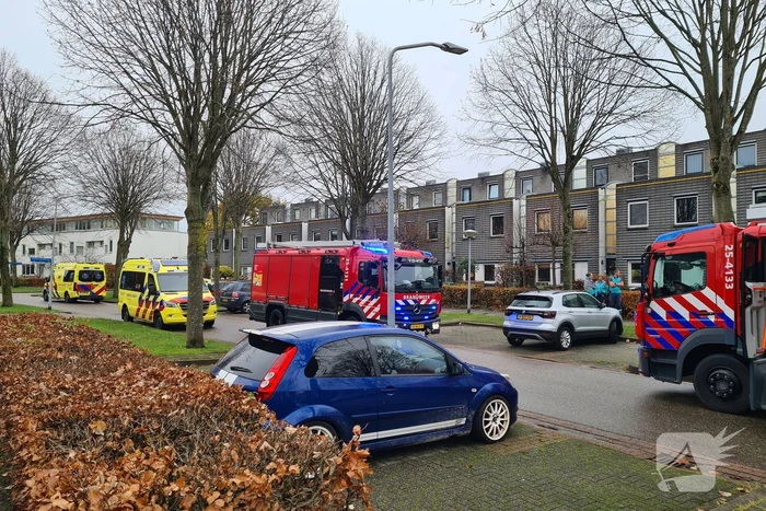 nieuws hollywoodlaan almere