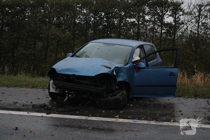 Ravage nadat auto op boom botst
