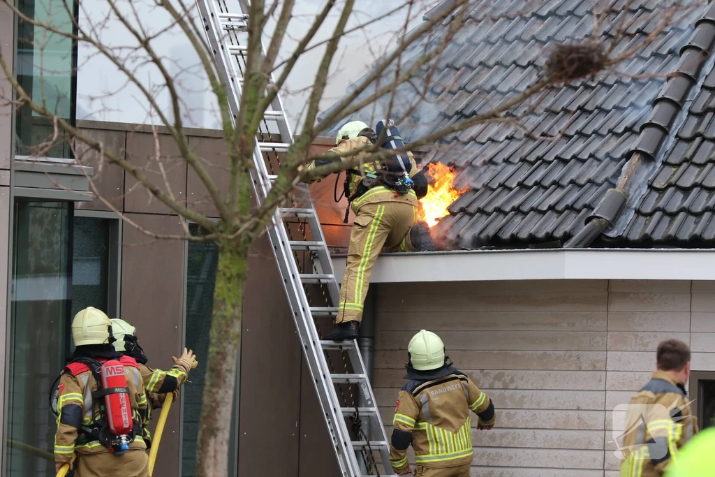 Tulpstraat Nieuws Enschede 