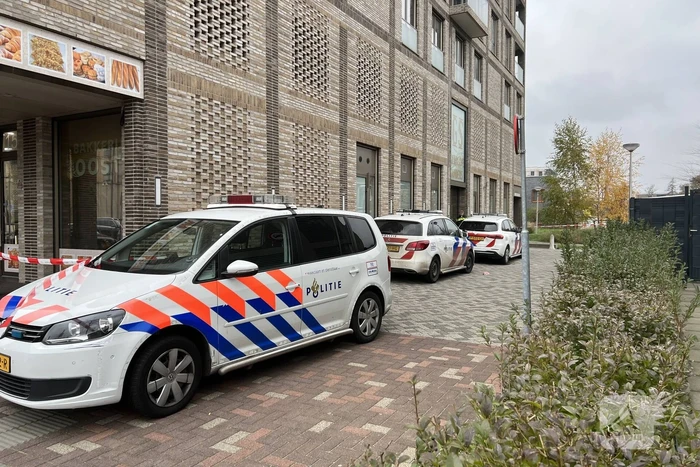 Arrestatieteam ingezet bij aanhouding