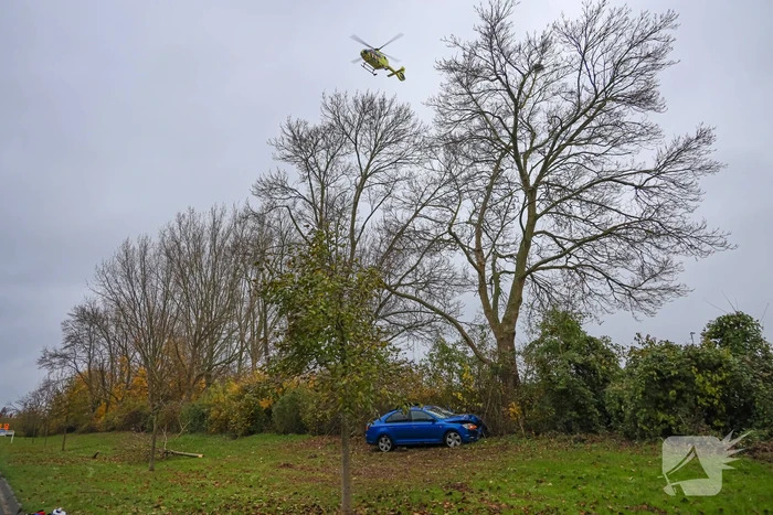 Automobilist raakt van weg en botst frontaal tegen boom